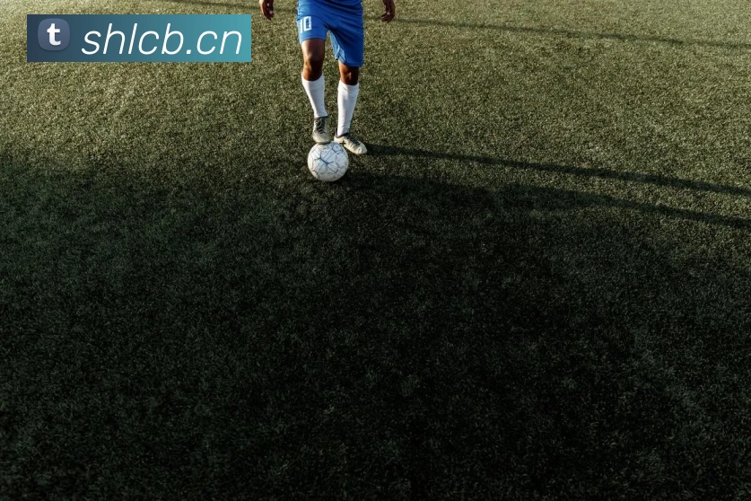 开云官网发展历程